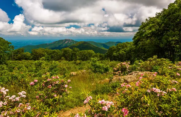 Shenandoah National Park in Virginia