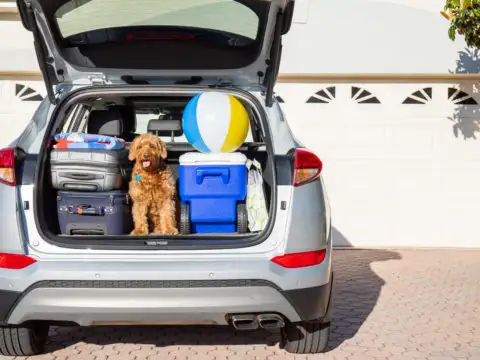 Car packed for family road trip