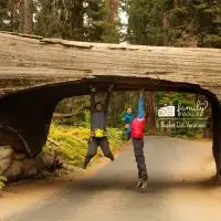 Family with infant visit Sequoia national park in California; Courtesy My Good Images/Shutterstock