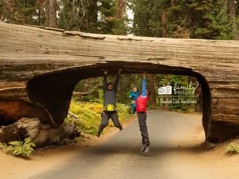 Family with infant visit Sequoia national park in California; Courtesy My Good Images/Shutterstock