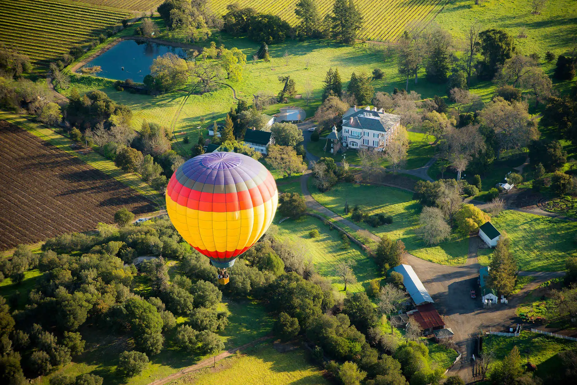 Hot Air Balloon Over Napa Valey, California