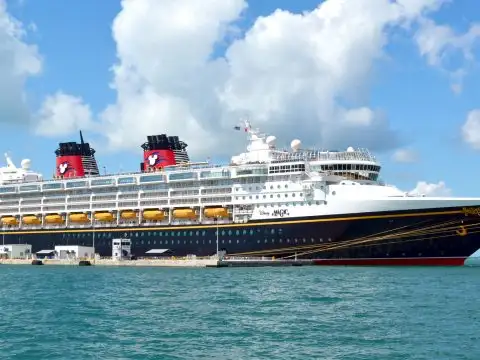 Disney Cruise Ship; Courtesy of Chuck Wagner/Shutterstock.com