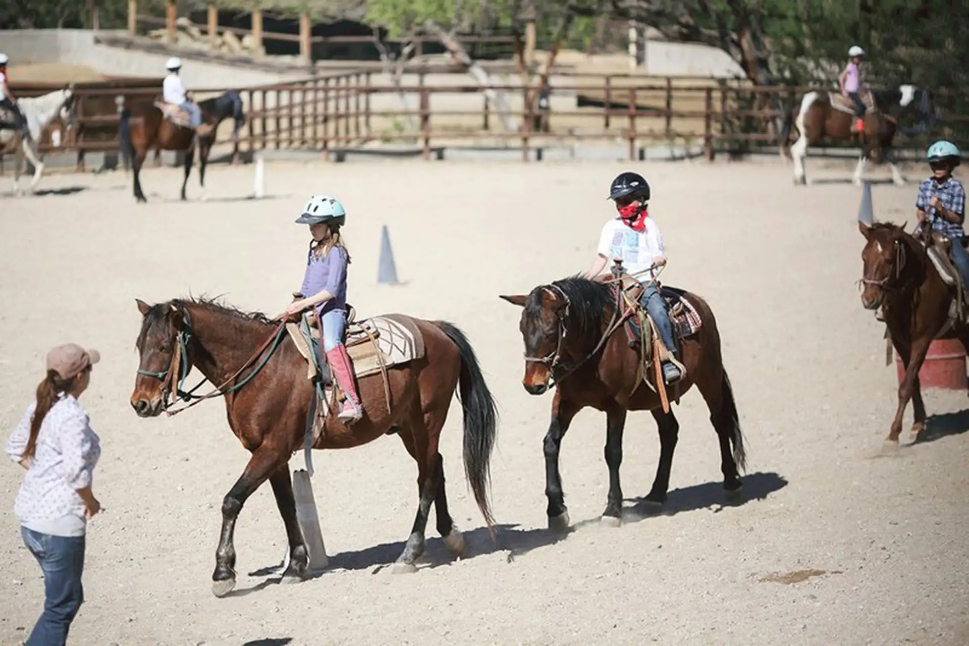 Bonanza Creek Country Guest Ranch