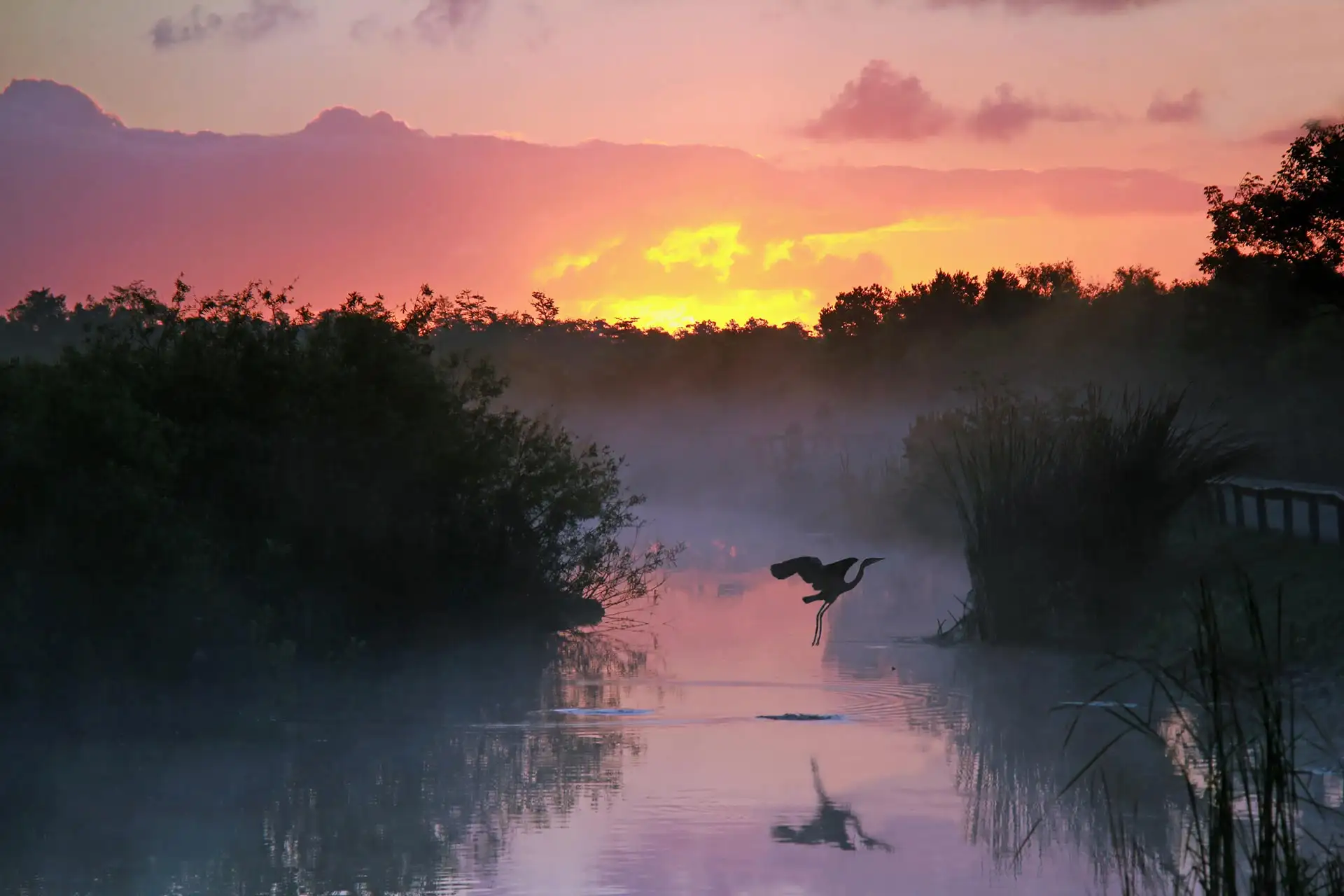 Everglades National Park in Florida