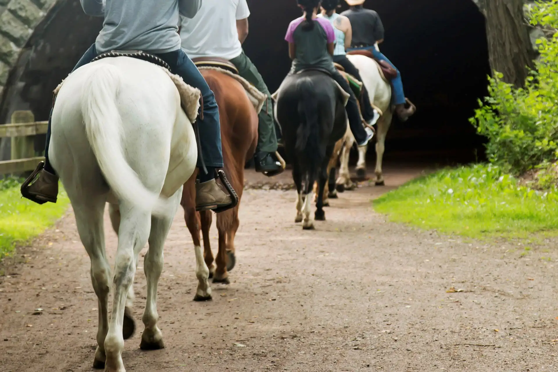 A family horseback riding; Courtesy of WoodysPhotos/Shutterstock