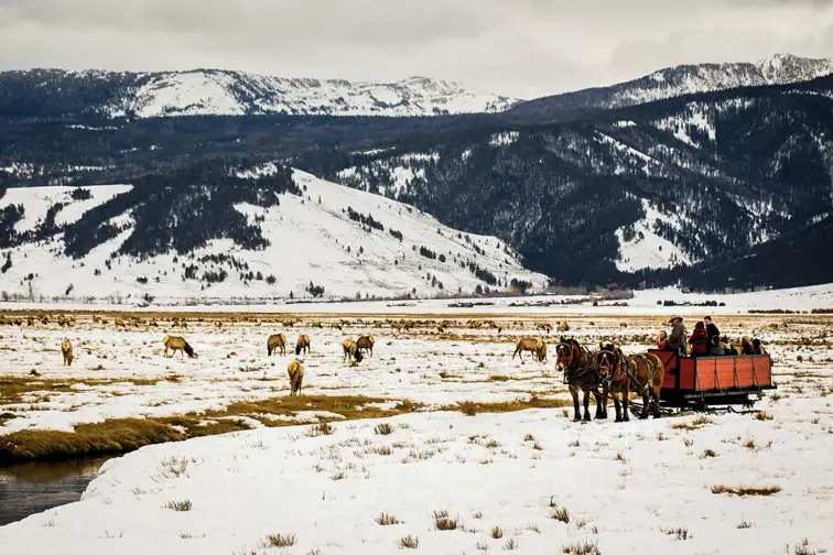 Four Seasons Jackson Hole; Courtesy of Four Seasons Jackson Hole