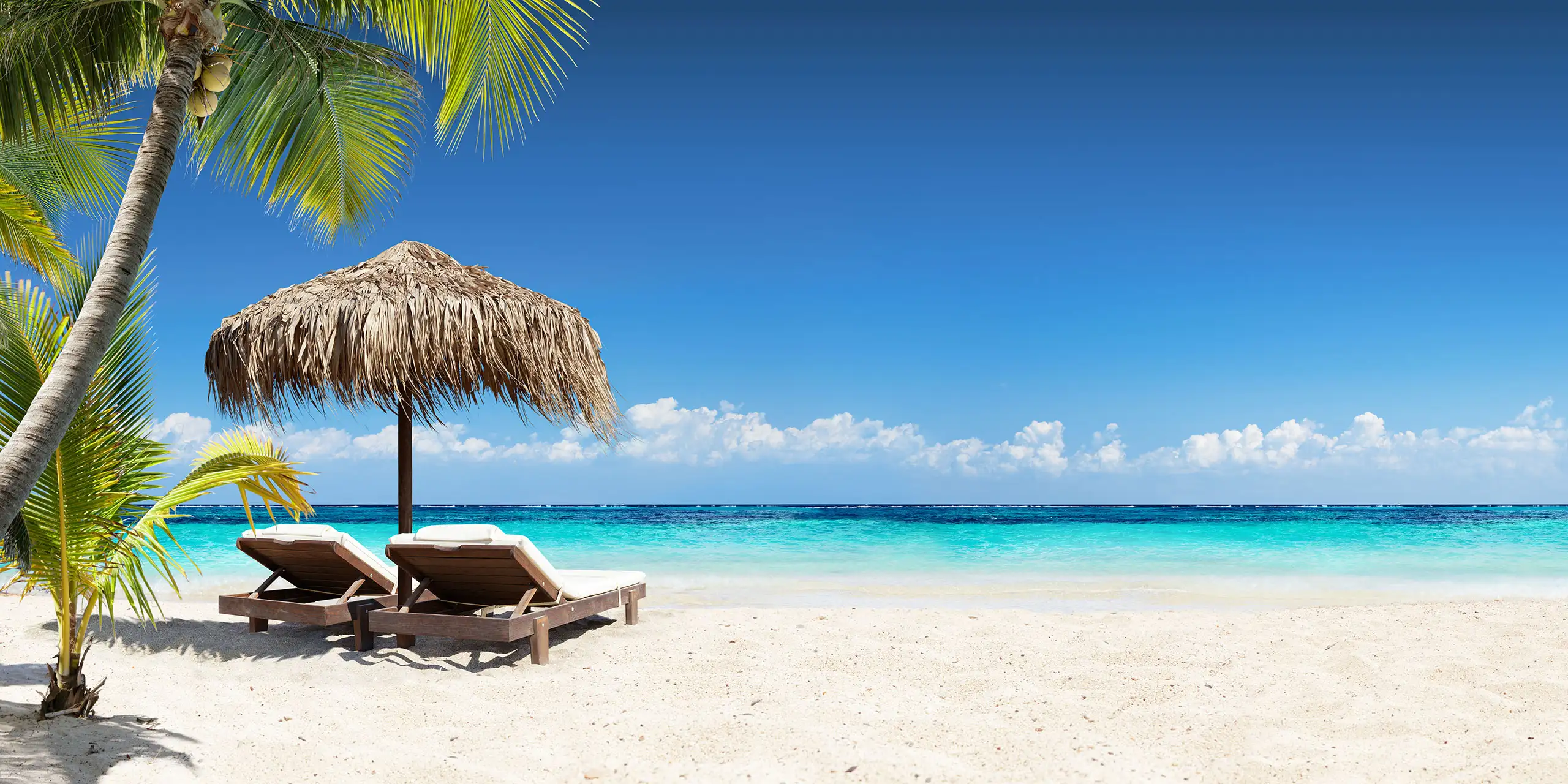 Caribbean Beach; Courtesy of Romolo Tavani/Shutterstock.com