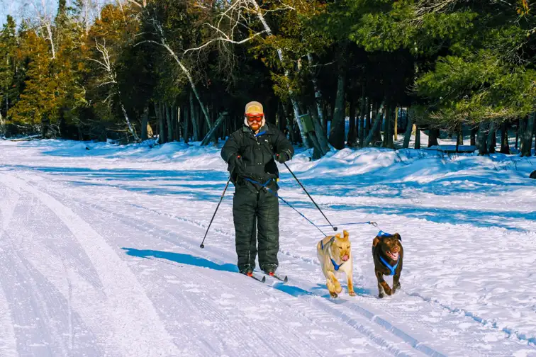 dogsledding at Gunflint Lodge; Courtesy of Gunflint Lodge