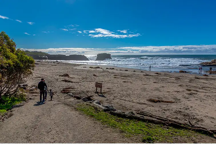 Natural Bridges State Beach; Courtesy of Philip Armitage/Shutterstock