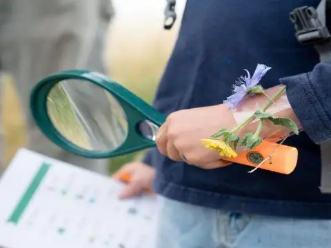 Scavenger Hunt; Courtesy of Robin Craig/Shutterstock.com