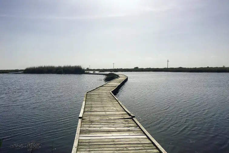 Sea Rim State Park, Port Arthur; Courtesy of TripAdvisor Traveler/sammi5652004