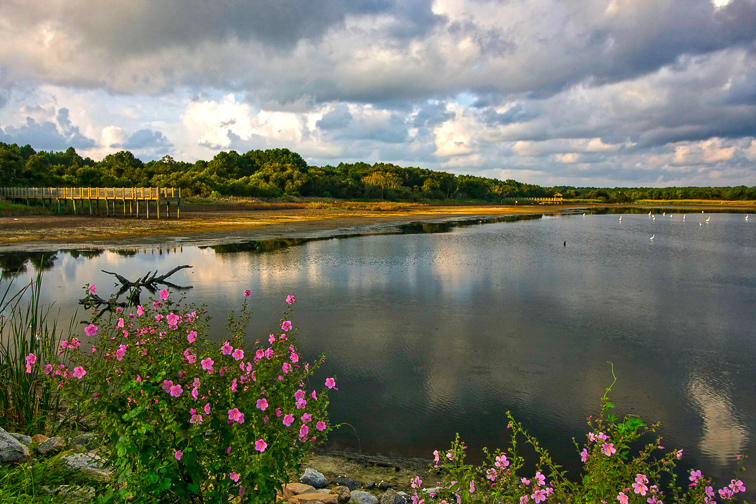 South Beach – Huntington Beach State Park, SC; Courtesy MarynaG/Shutterstock