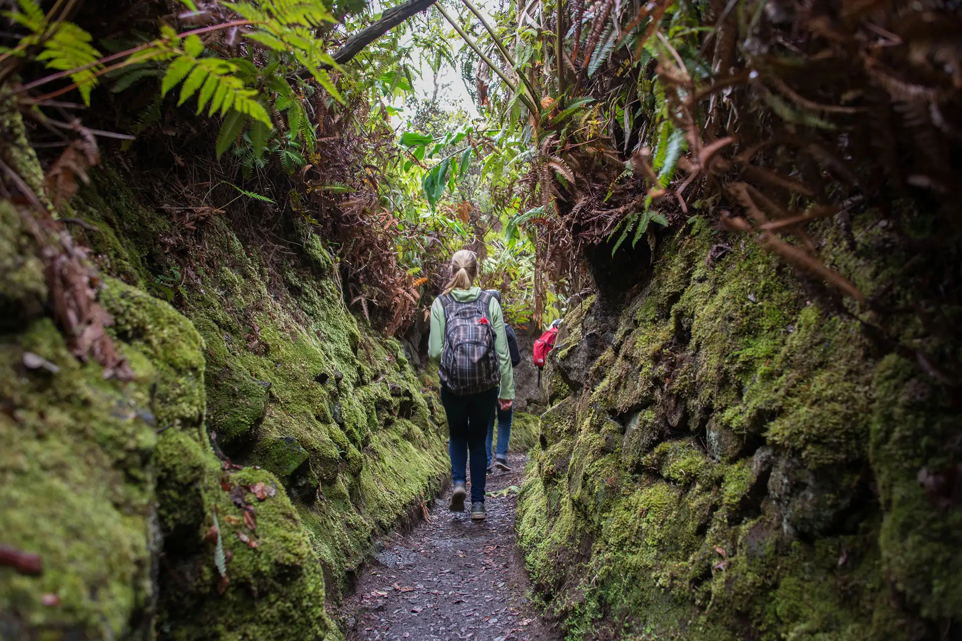 Volcano House Hikes; Courtesy of Volcano House