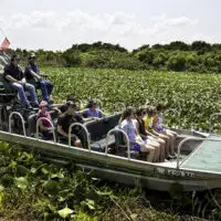 air boat rides at the Westgate River Ranch Resort & Rodeo; Courtesy of at the Westgate River Ranch Resort & Rodeo